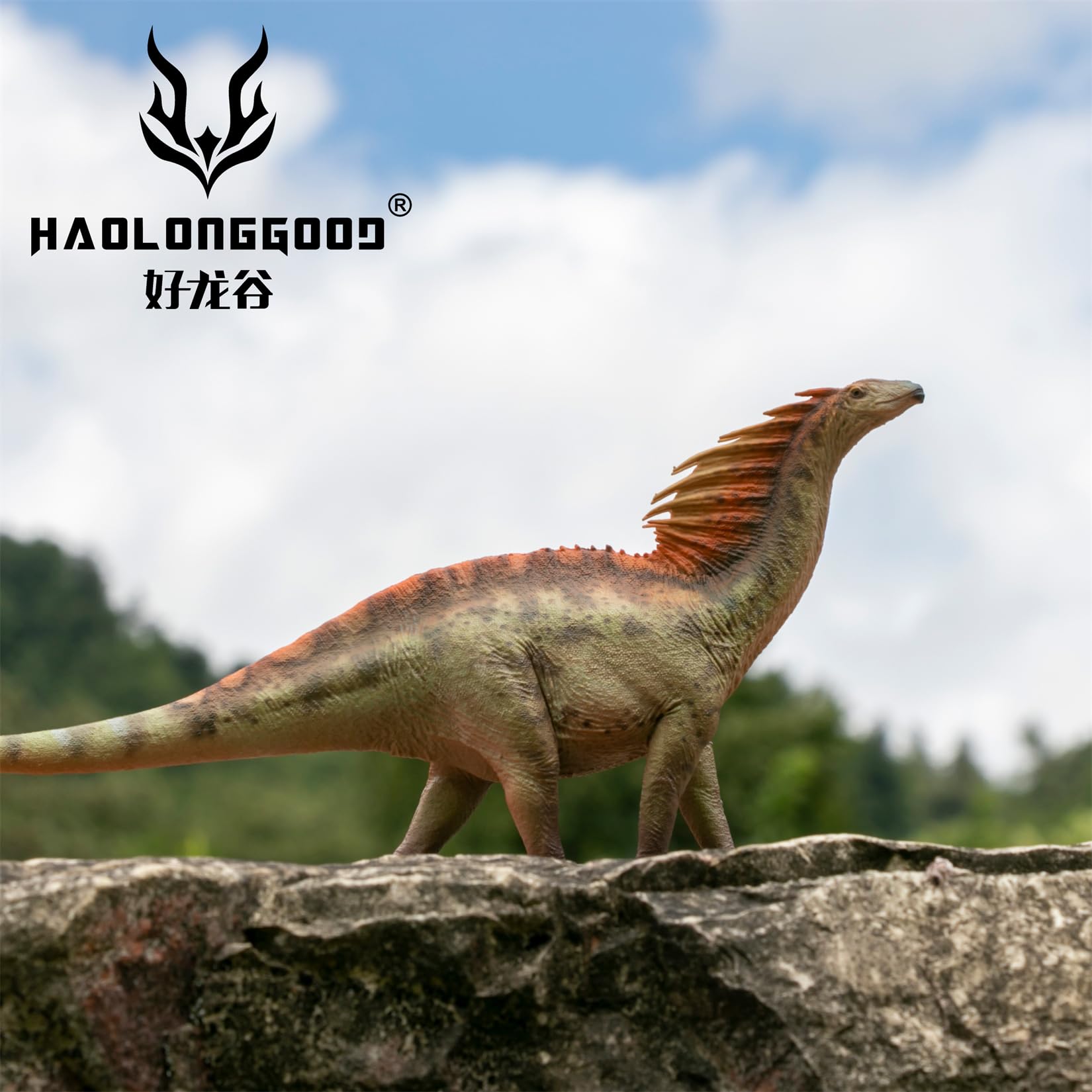 Amazon | BACALYSO | HAOLONGGOOD 1/35 サイズ アマルガサウルス 31cm